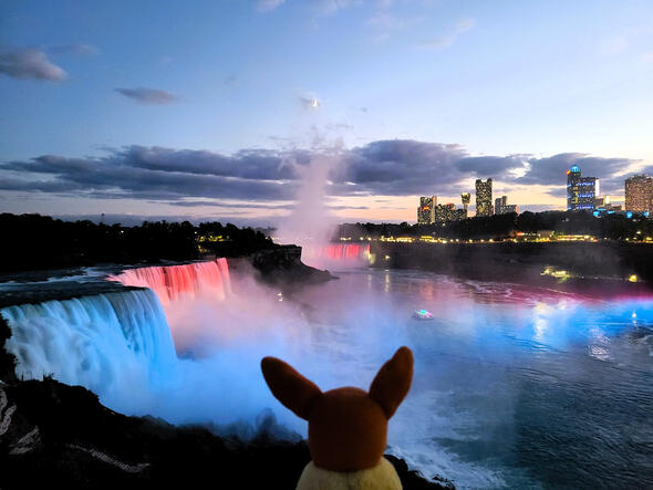 Niagara Falls at night 🌙