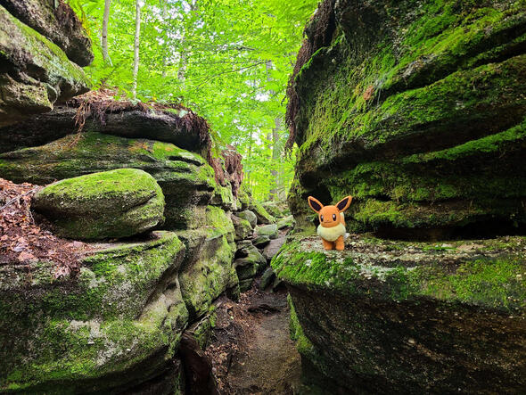 Out on a hike!