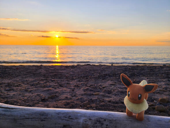 A day at the beach 🌅