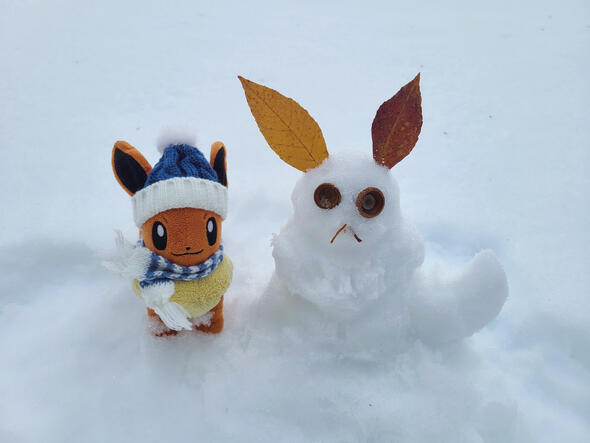 Eevee makes a snow version of herself! ❄